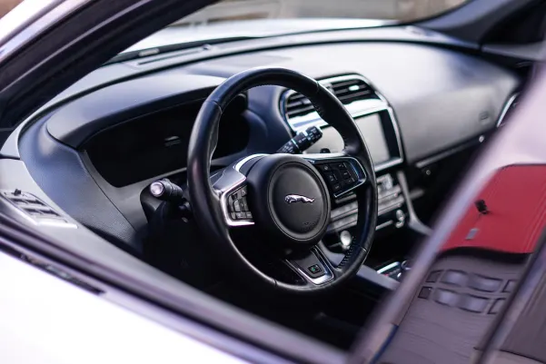 Pelaa Casino Android/iOS App